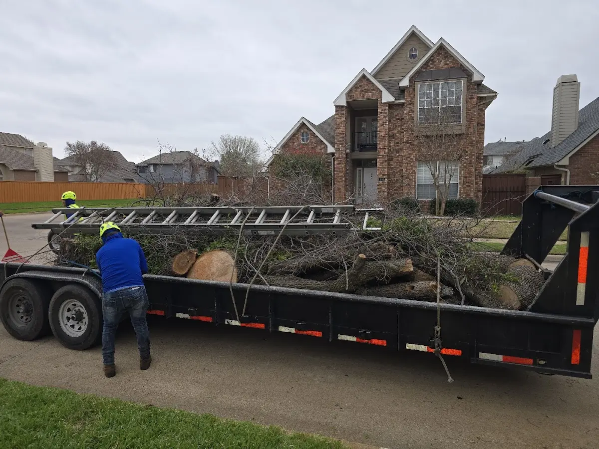 Expert Crown Reduction with proper safety equipment in Boise City